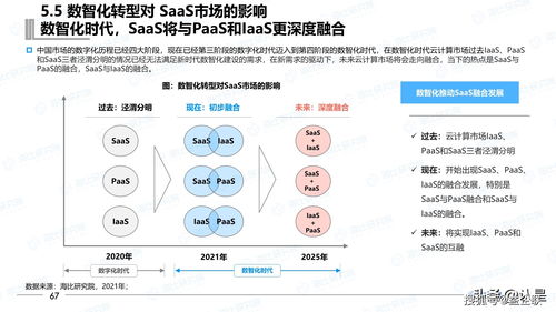 2021年中国SaaS市场研究报告与互联网区块链技术研究开发服务